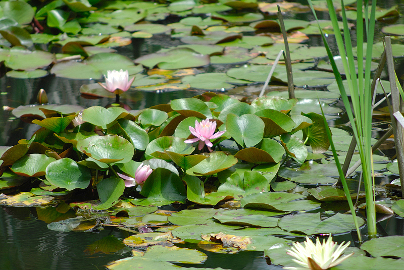 image0127