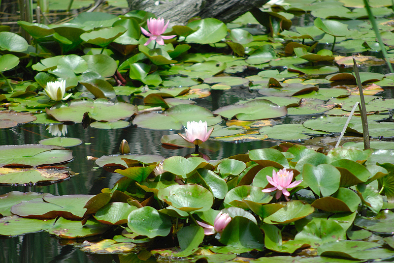 image0128