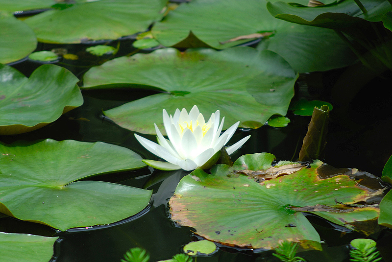 image0136