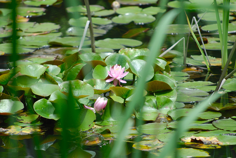 image0141