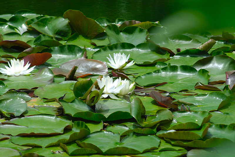 image0148