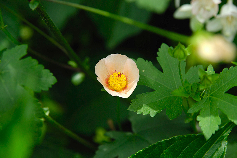 image0153