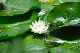 image0160