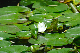 image0161