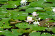 image0162