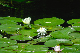 image0163