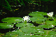 image0164