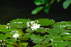 image0165