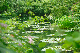 image0167