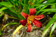 image0168