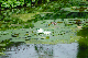 image0169