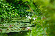 image0170