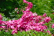 image0173