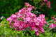 image0174