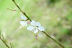 image0179
