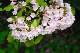 image0180