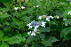 image0181