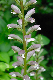 image0182