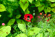 image0183