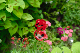 image0184