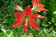 image0187