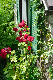 image0190
