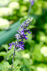 image0191