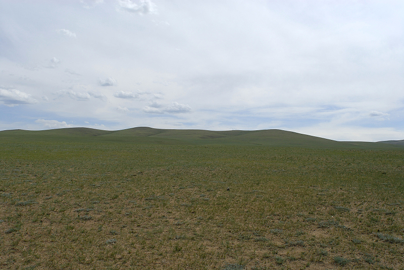 image0100
