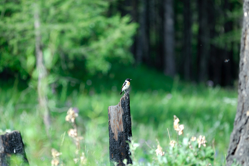 image0097