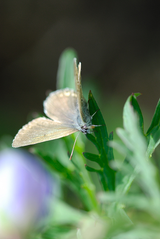 image0103