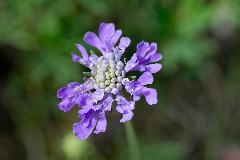 image0104