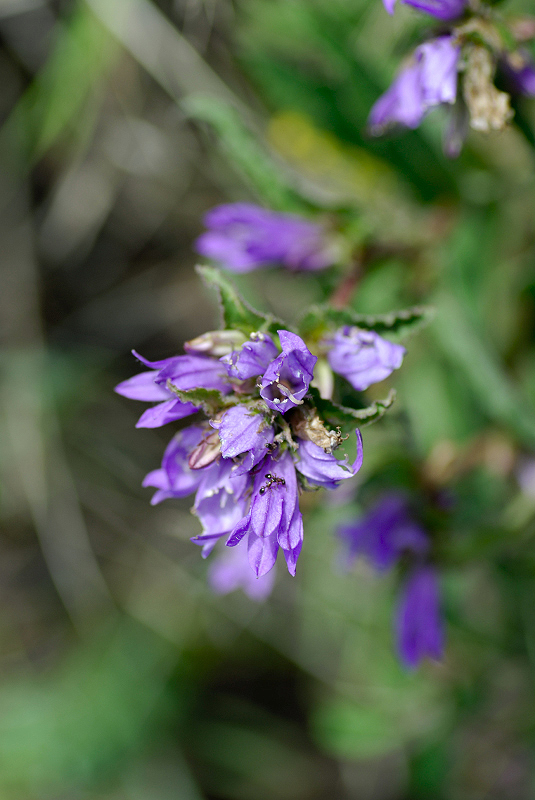 image0105