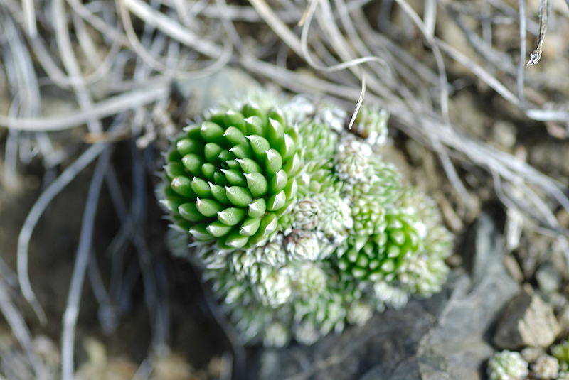 image0108