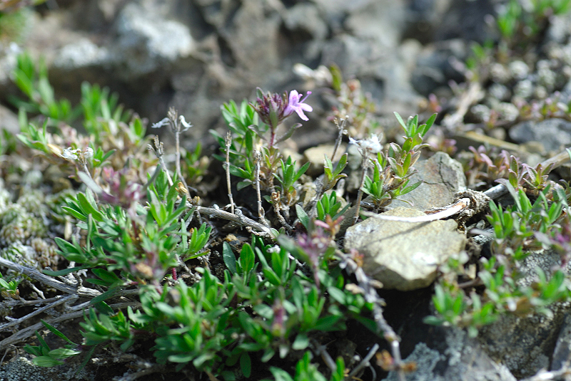 image0110