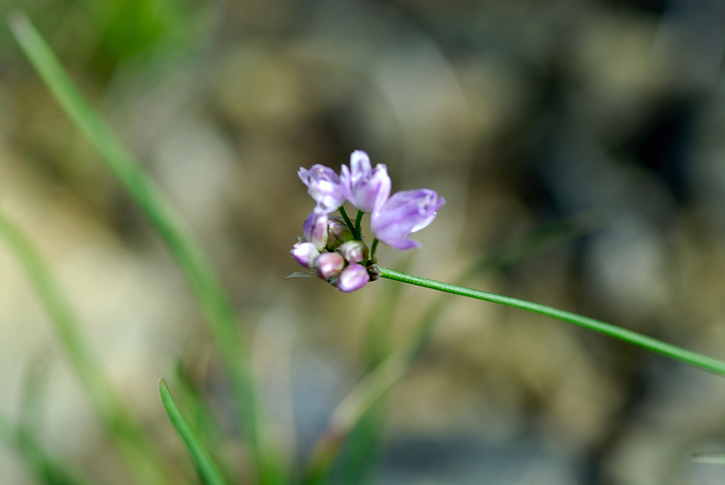 image0113