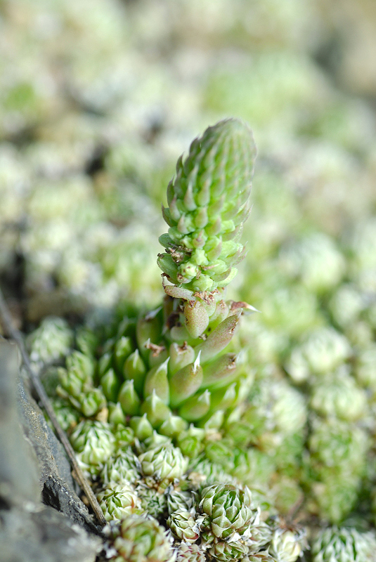 image0114