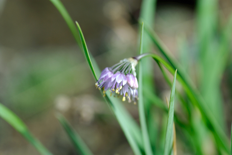 image0117