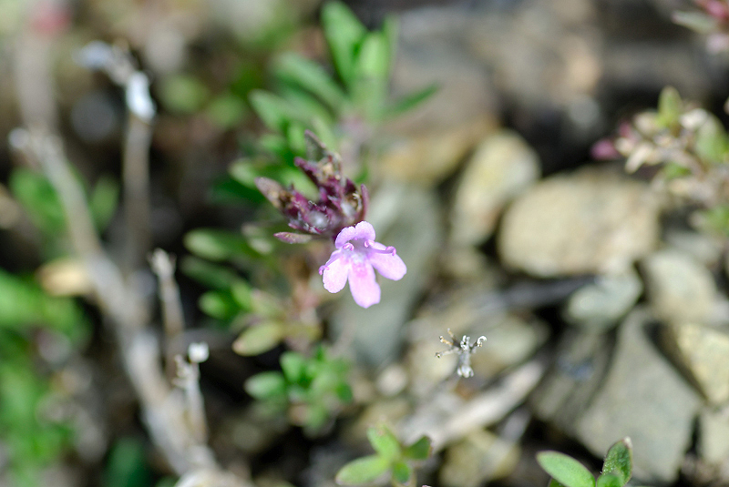 image0118
