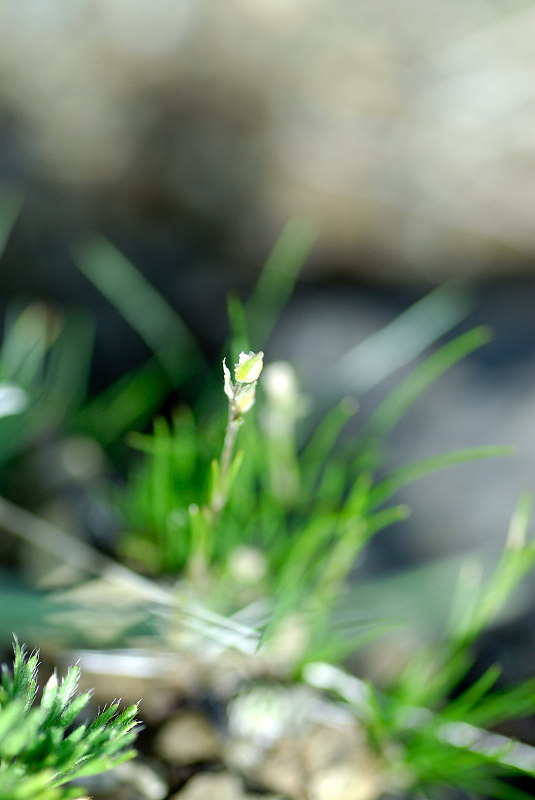 image0119