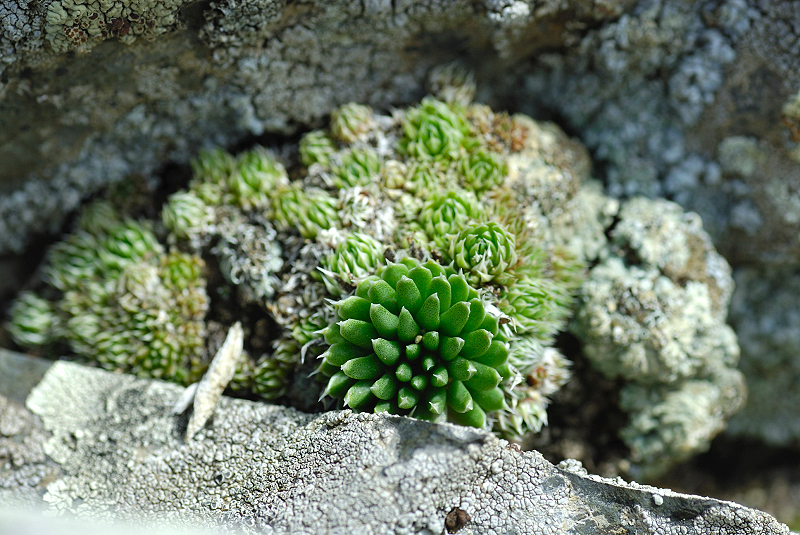 image0120