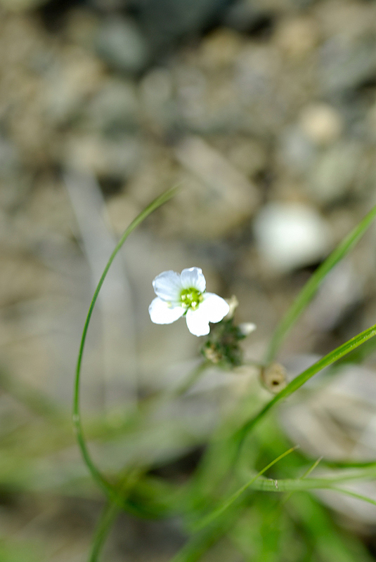 image0123