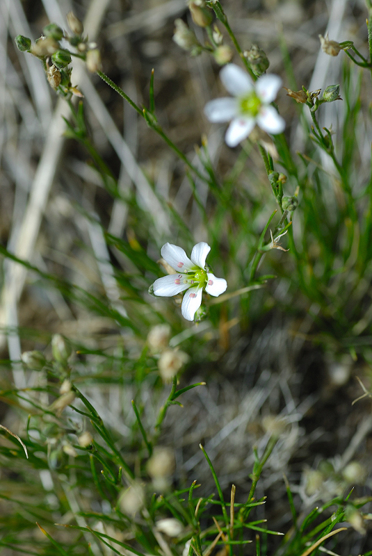 image0124