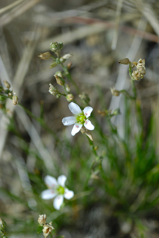 image0125