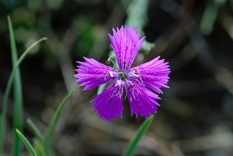 image0126