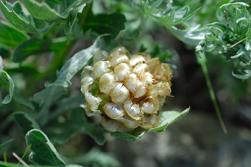 image0127