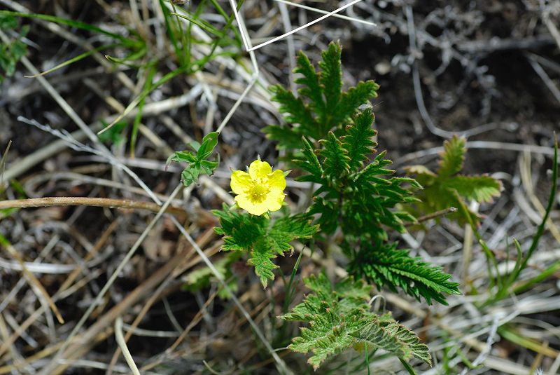 image0128