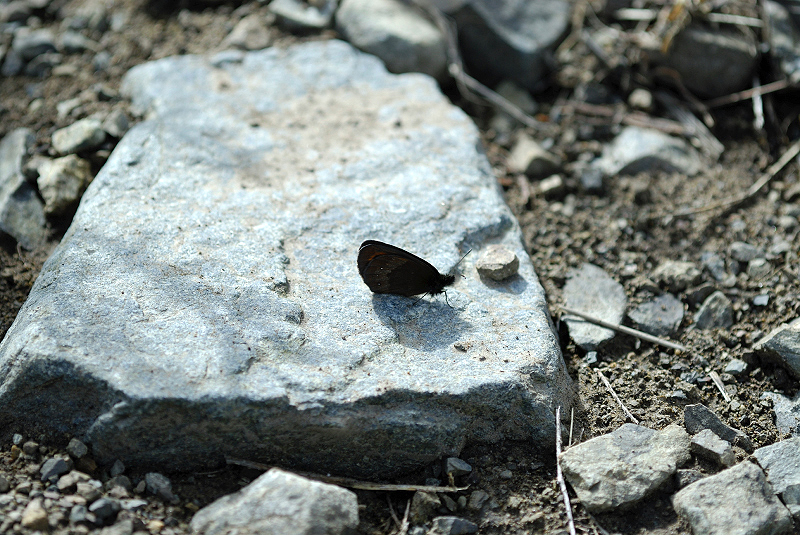 image0129