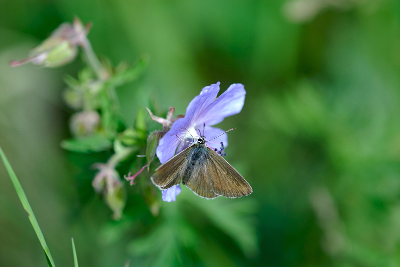 image0130
