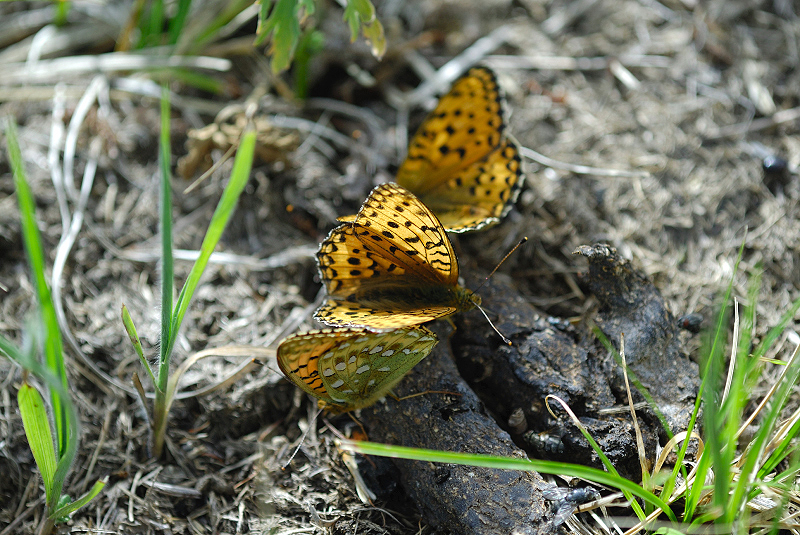 image0134