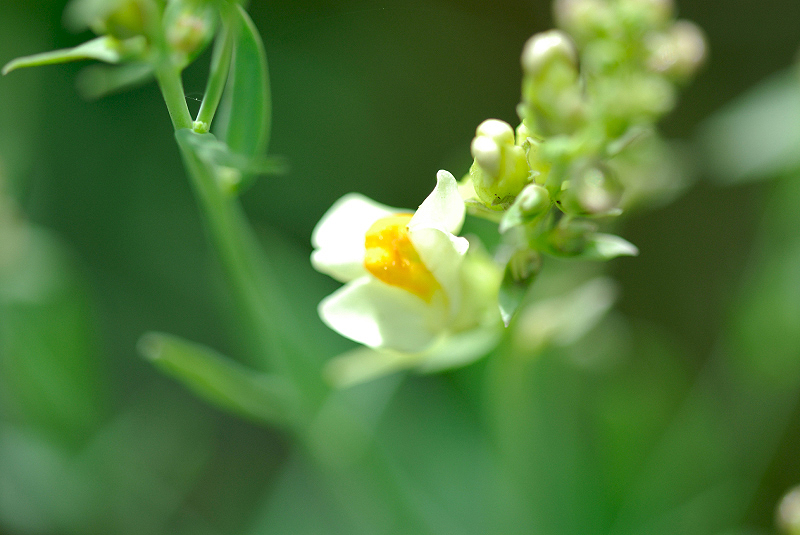 image0137